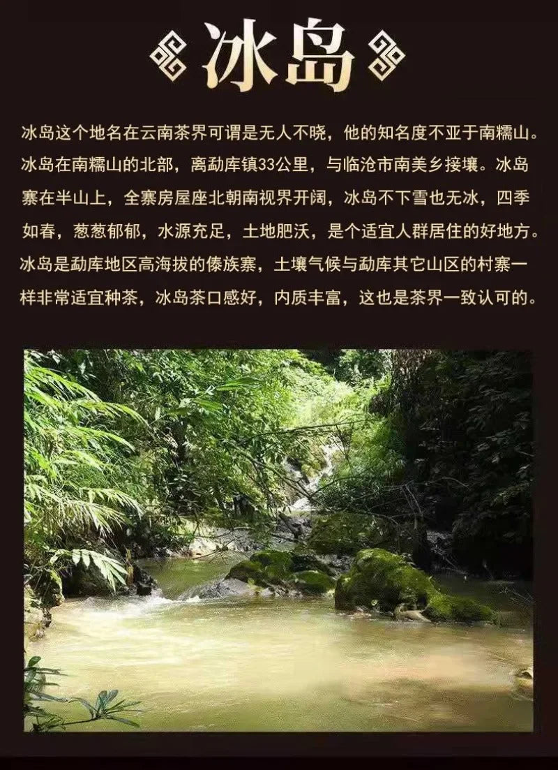 2009-spring-yunnan-premium-shu-puer-tea-cake-bingdao-golden-buds-yiqin-tea-house-yiqinteahouse-com-13 - YIQIN TEA HOUSE 一沁茶舍 yiqinteahouse.com