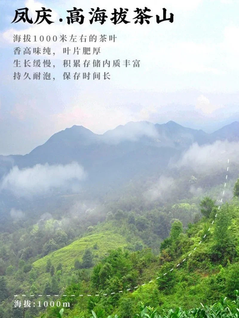 premium-yunnan-fengqing-dianhong-golden-bud-black-tea-canned-gift-set-250500g-yiqin-tea-house-yiqinteahouse-com-13 - YIQIN TEA HOUSE 一沁茶舍 yiqinteahouse.com