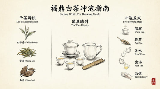 Fuding White Tea Brewing Guide: Bai Mudan, Gongmei, and Shoumei