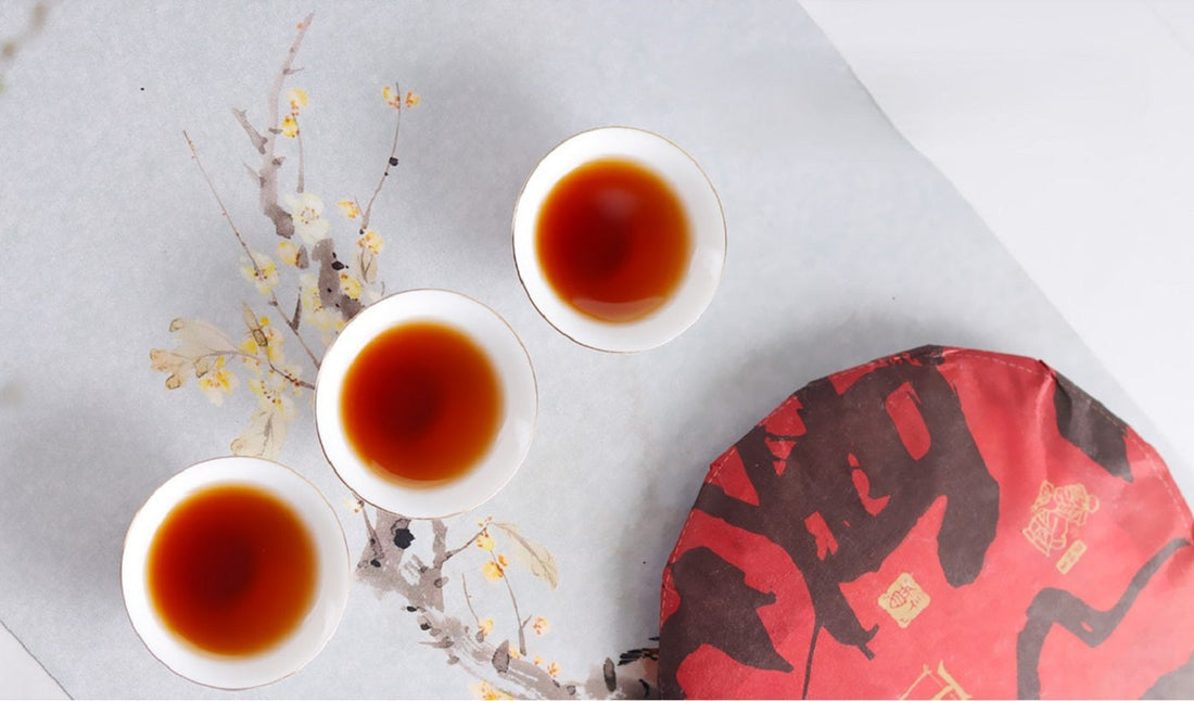 Puer Tea: A Unique and Traditional Dark Tea Experience