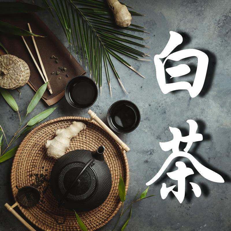 White Tea 白茶 - YIQIN TEA HOUSE 一沁茶舍 | yiqinteahouse.com