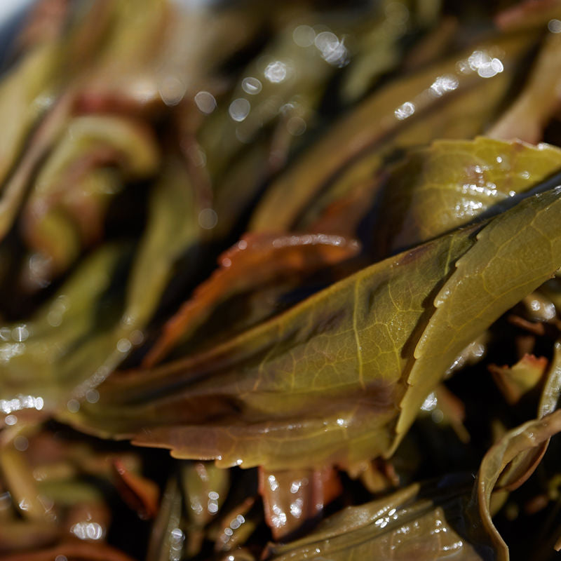 Lao Duan Shan High Mountain Spring Phoenix Dancong [Ju Duo Zi] Almond Aroma Oolong Tea