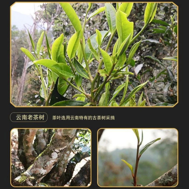 2012 Spring Yunnan Sheng Puer Tea Cake [Meng Song]