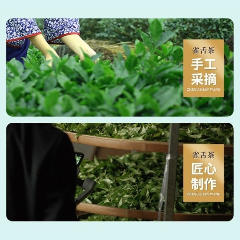 Early Spring Premium [Que She] Fried Green Buds Green Tea 260/520g - YIQIN TEA HOUSE | yiqinteahouse.com | green tea, que she, tea