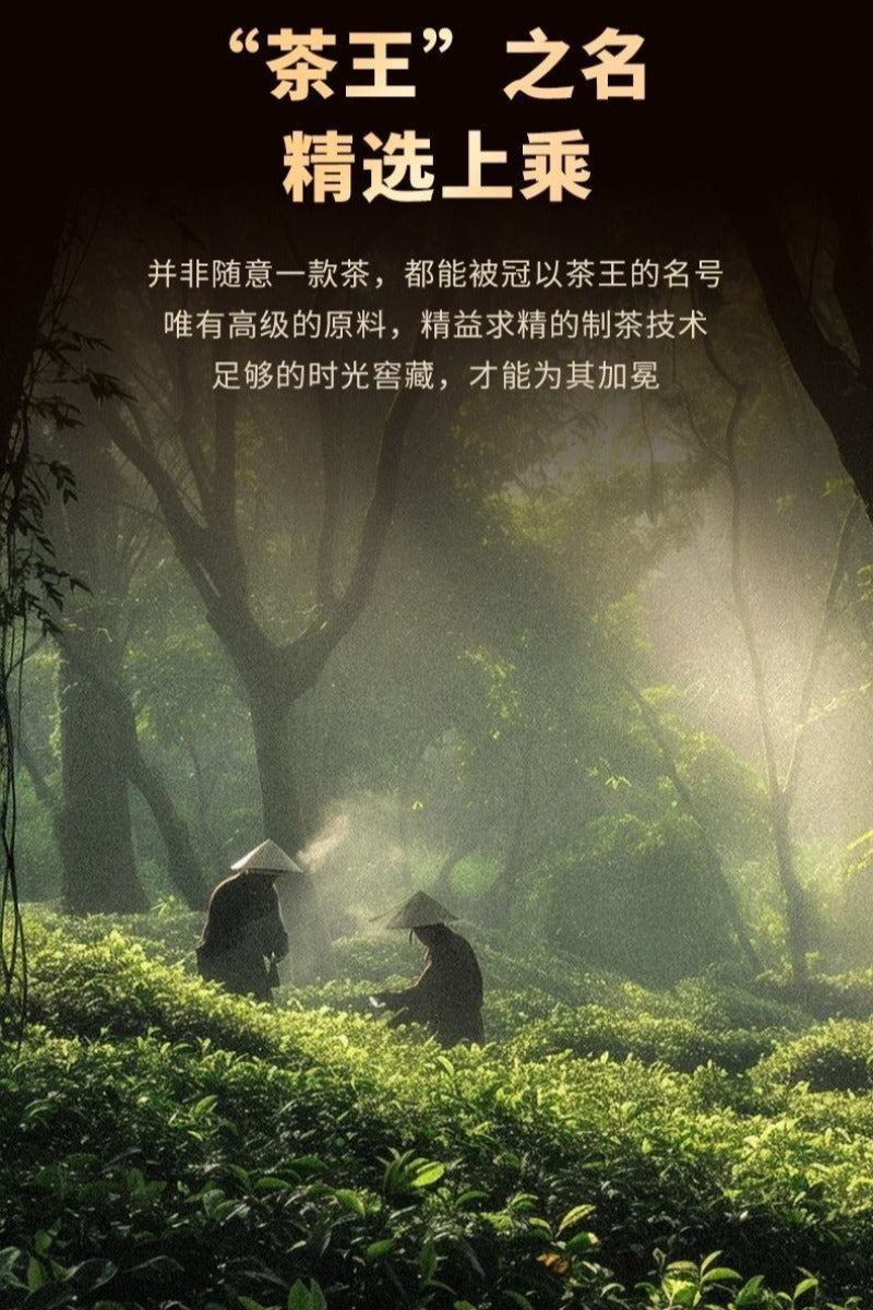 2021 Yunnan Árbol Antiguo Raw (Sheng) Puerh en Pastel [Lao Ban Zhang - Rey del Té]