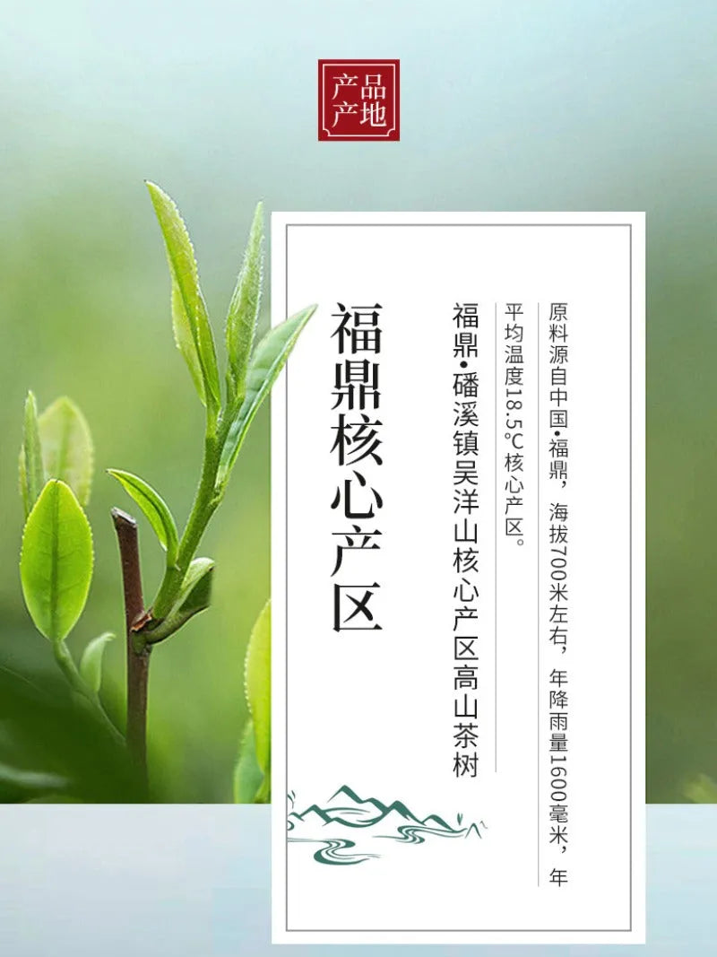 (Limited Edition) 2010 Fuding Premium White Tea Cake [Wild Laocong Gong Mei] - YIQIN TEA HOUSE | yiqinteahouse.com | gong mei, tea, white tea