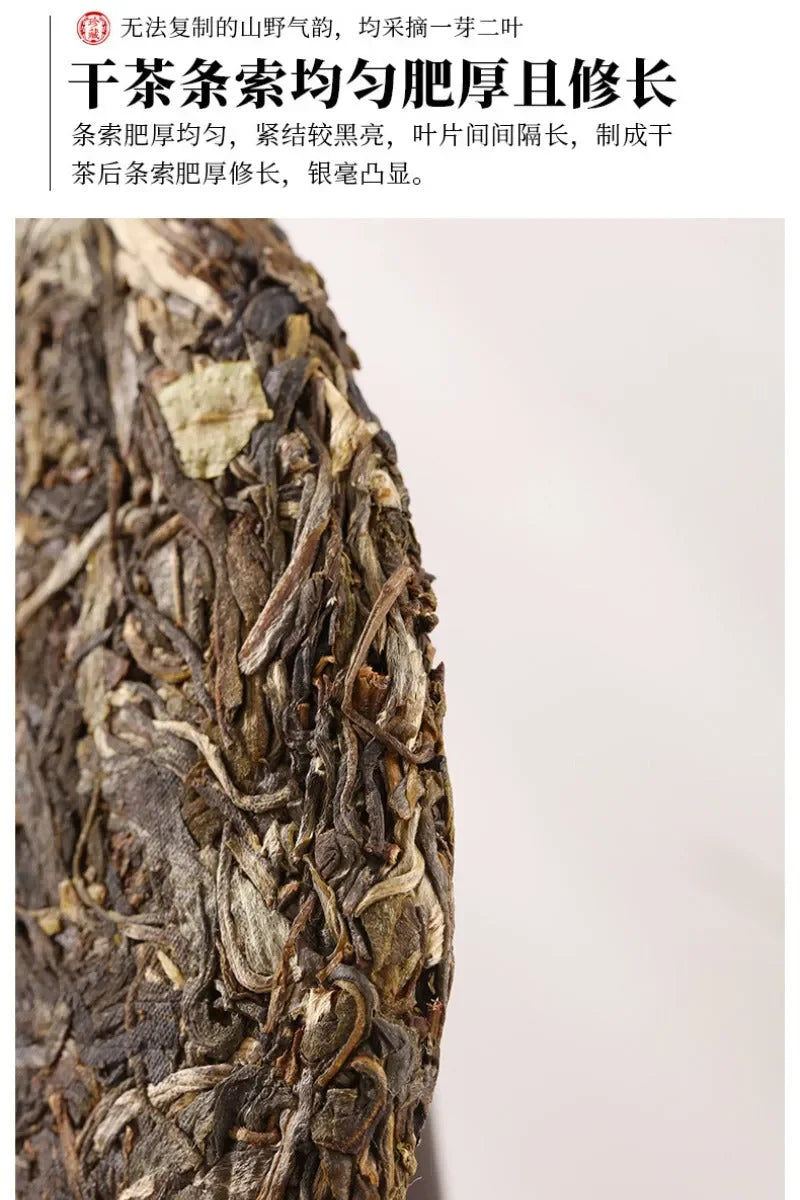 2020 Spring Yunnan Sheng Puer Tea Cake [Man Nuo] - YIQIN TEA HOUSE | yiqinteahouse.com | dark tea, pu-er, puer, sheng puer, tea