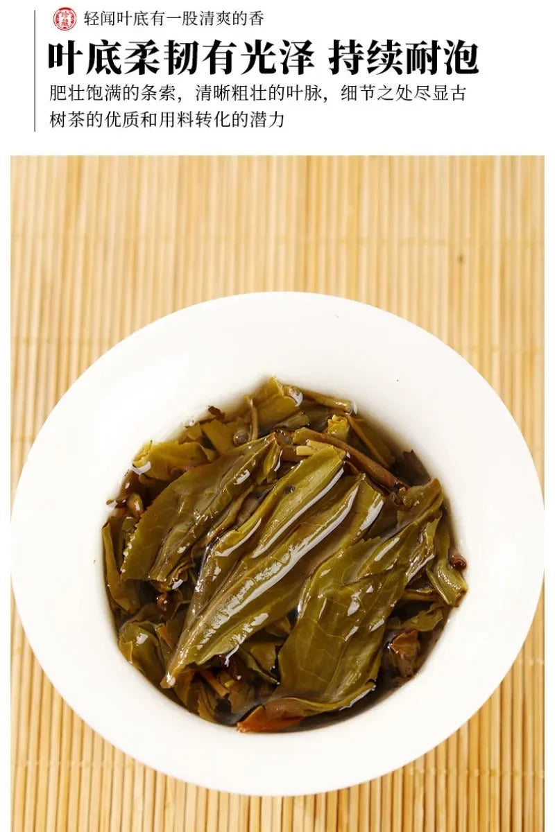 2020 Spring Yunnan Sheng Puer Tea Cake [Man Nuo] - YIQIN TEA HOUSE | yiqinteahouse.com | dark tea, pu-er, puer, sheng puer, tea