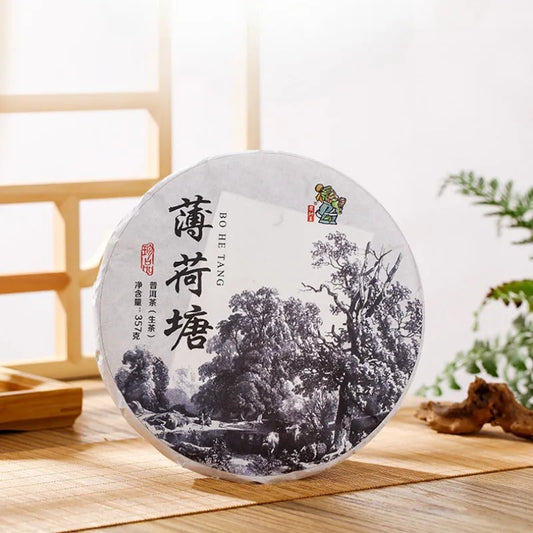 2021 Spring Yunnan Yiwu Sheng Puer Tea Cake [Bo He Tang] - YIQIN TEA HOUSE | yiqinteahouse.com | dark tea, pu-er, puer, sheng puer, tea