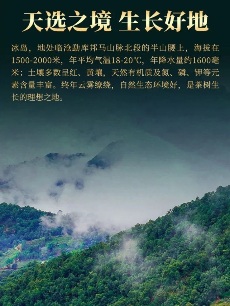 1602073d1e849c1b3516d92adfab9880 - YIQIN TEA HOUSE 一沁茶舍 yiqinteahouse.com