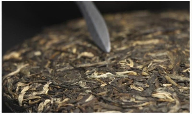 2012 Spring Yunnan Sheng Puer Tea Cake [Nan Nuo]