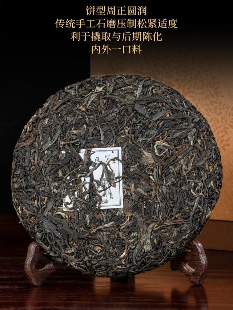 Kek Teh Pu-erh Mentah (Sheng) Pokok Purba Yunnan 2021 [Bing Dao - Raja Teh]