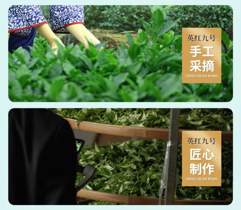 Premium Yingde Black Tea [Ying Hong No.9] Canned Gift Set 260/520g
