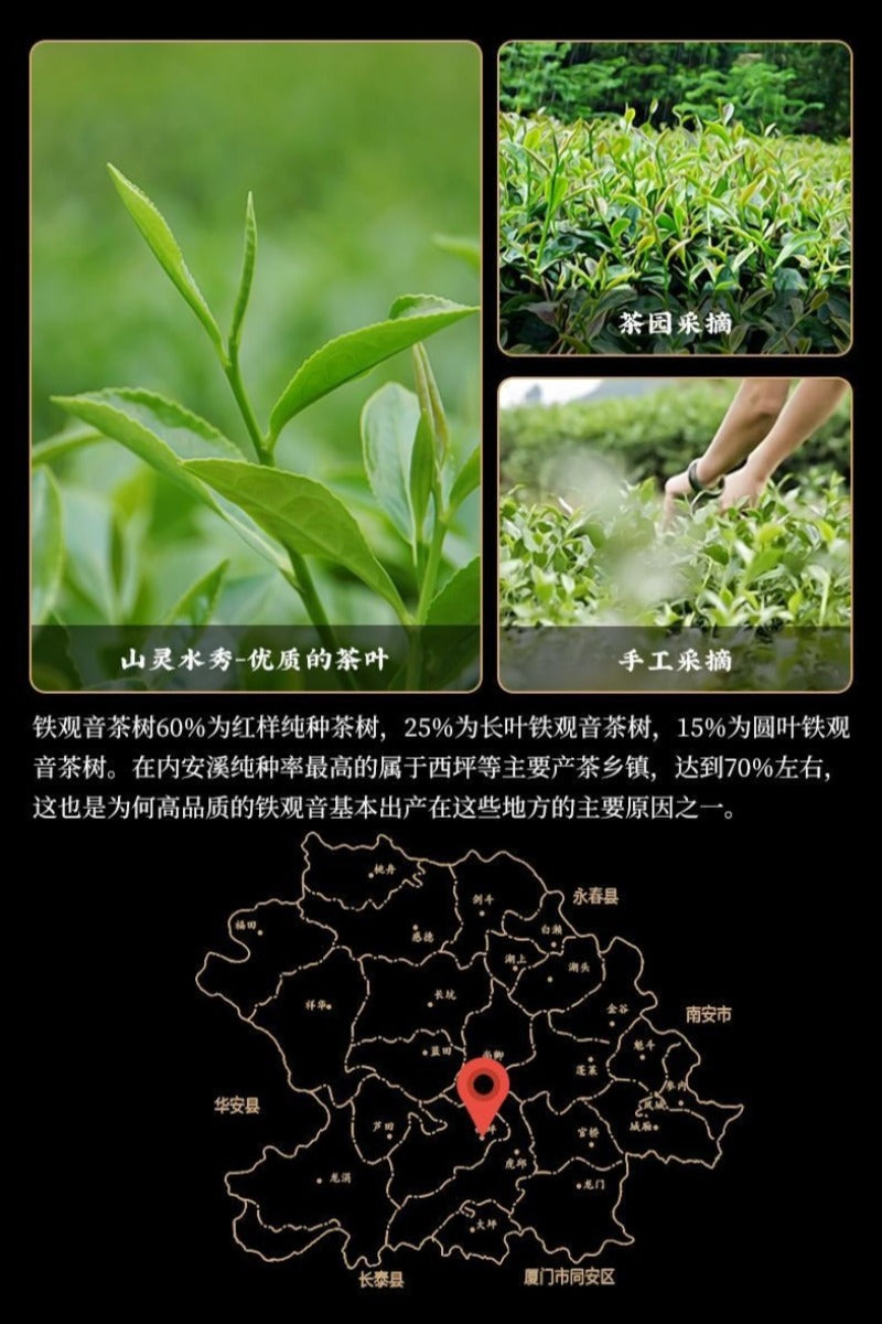 Fujian Anxi Premium [Tie Guan Yin] Strong Flora Aroma Oolong Tea 260/520g - YIQIN TEA HOUSE | yiqinteahouse.com | oolong tea, tea, tie guan yin