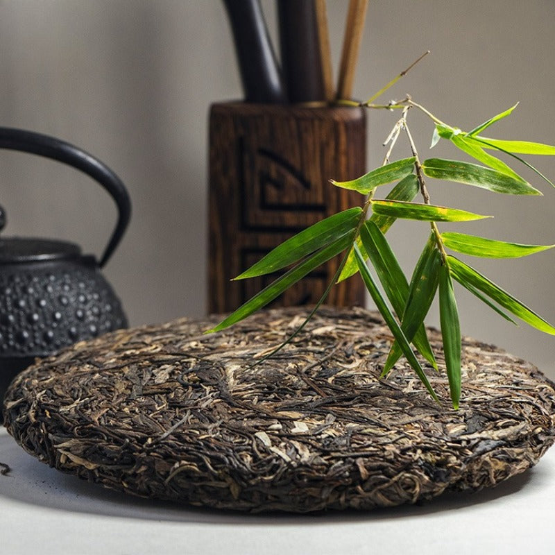 2012 Spring Yunnan Sheng Puer Tea Cake [Yi Wu]