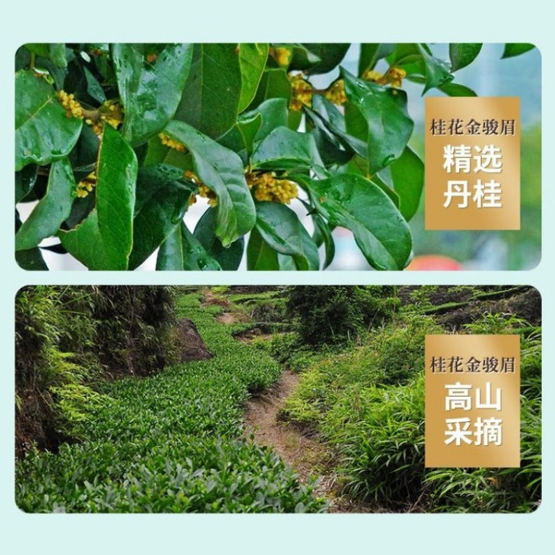 Fujian Premium [Osmanthus Jin Jun Mei] Srong Flora Aroma Black Tea 260/520g - YIQIN TEA HOUSE | yiqinteahouse.com | black tea, jin jun mei, tea