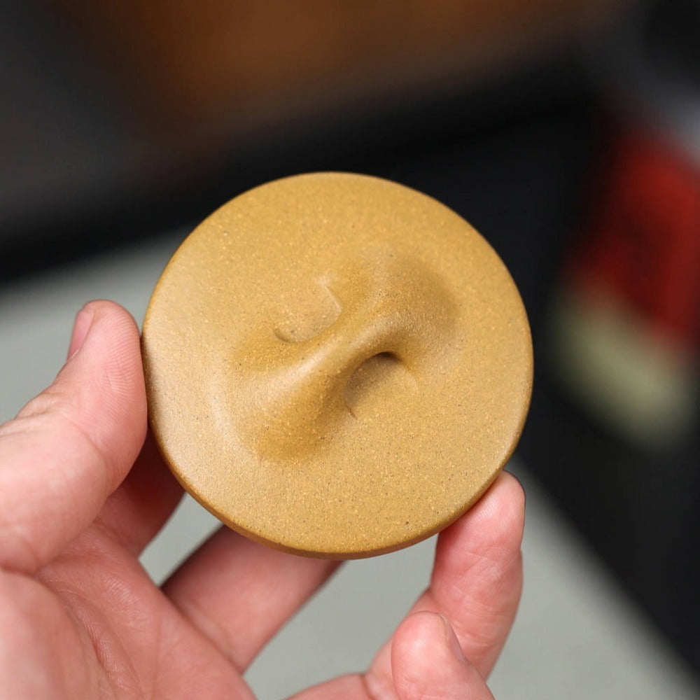 Théière Yixing Zisha entièrement faite à la main [Pot Jingzhou Shi Piao] (Duan Ni - 240 ml)