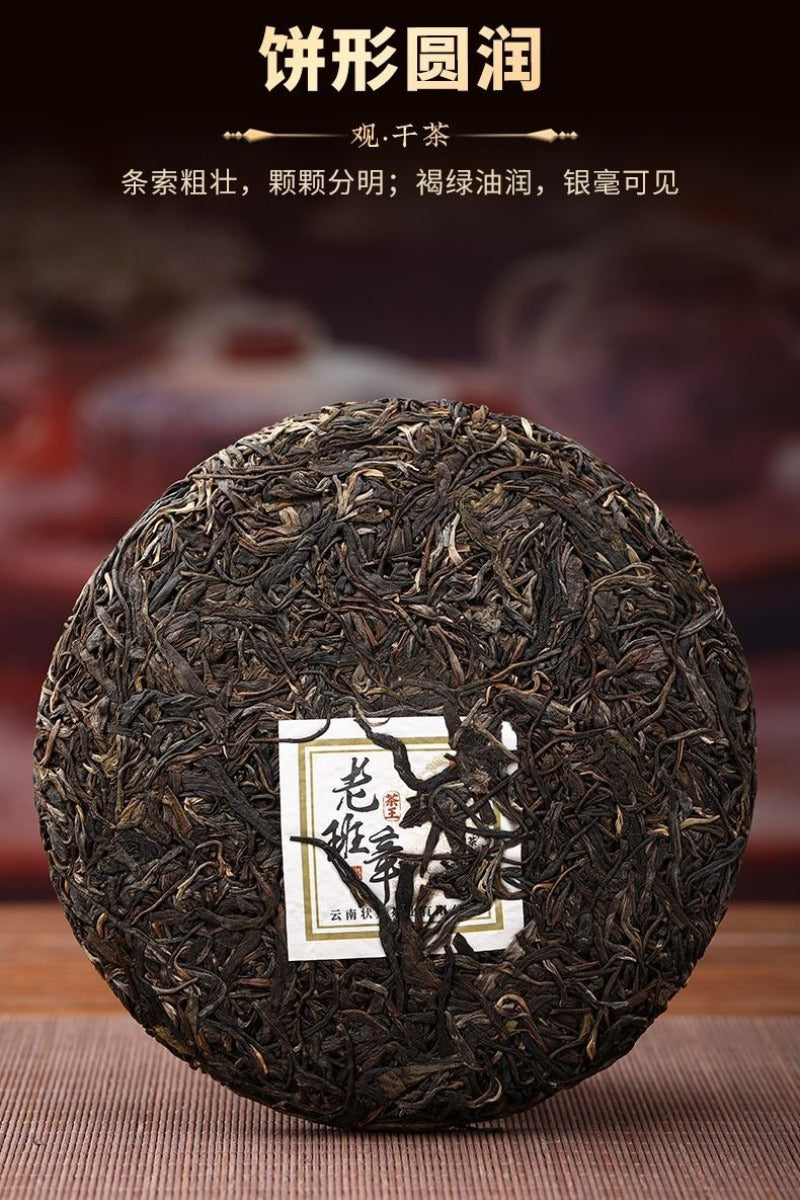 2021 Yunnan Árbol Antiguo Raw (Sheng) Puerh en Pastel [Lao Ban Zhang - Rey del Té]