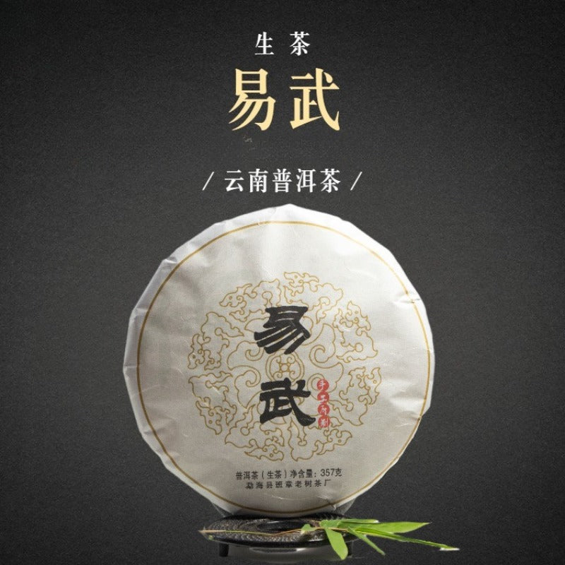 2012 Spring Yunnan Sheng Puer Tea Cake [Yi Wu]