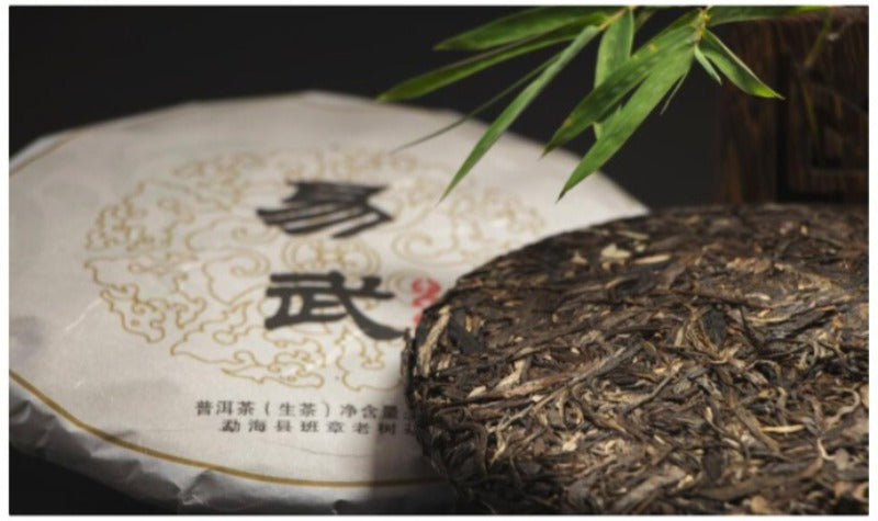 2012 Spring Yunnan Sheng Puer Tea Cake [Yi Wu]