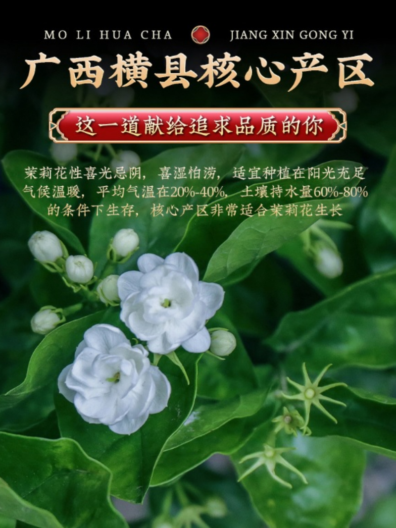 Guangxi [Jasmine Tea] Strong Flora Aroma Green Tea Gift Set 500g