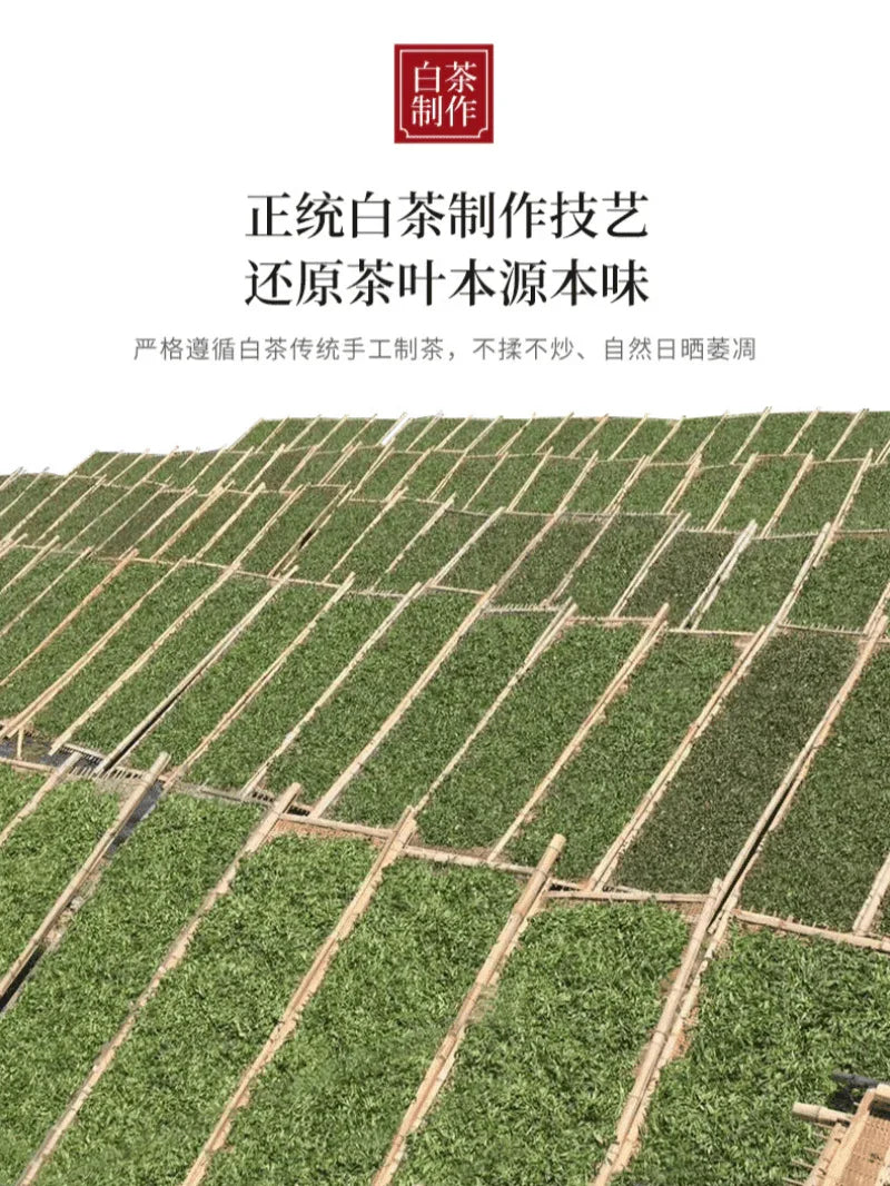 2012 Fuding White Tea Cake [Gong Mei]