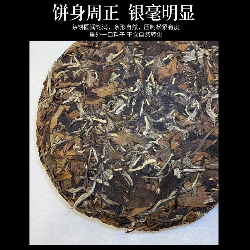 2010 福鼎白茶 [荒野老枞贡眉] 磻溪贡眉白茶饼