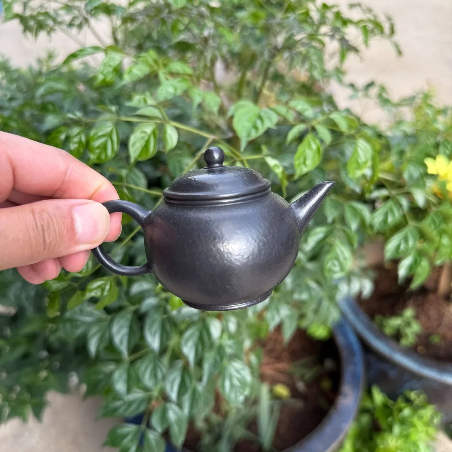 O1CN01qUhl7t1wQN3u36chm__2217598196302-0-cib - YIQIN TEA HOUSE 一沁茶舍 yiqinteahouse.com