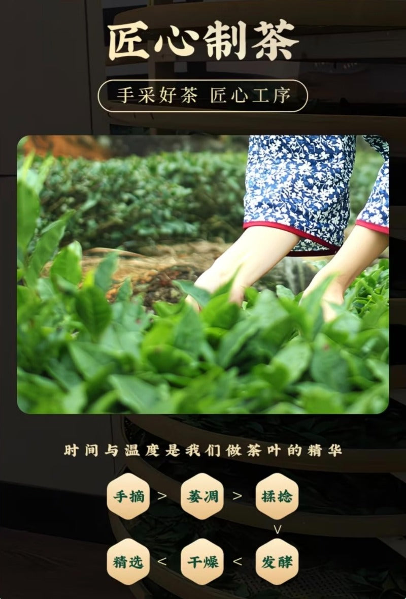 Premium Yingde Black Tea [Ying Hong No.9] Canned Gift Set 260/520g