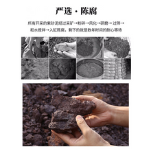 Load image into Gallery viewer, Yixing Zisha Teapot [Moon Xishi 西施拜月] (Hei Ni/Jiao Ni - 330ml)
