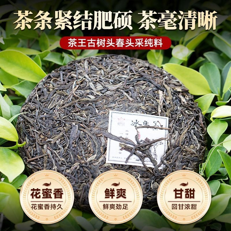 Kek Teh Pu-erh Mentah (Sheng) Pokok Purba Yunnan 2021 [Bing Dao - Raja Teh]