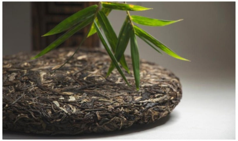 2012 Spring Yunnan Sheng Puer Tea Cake [Yi Wu]