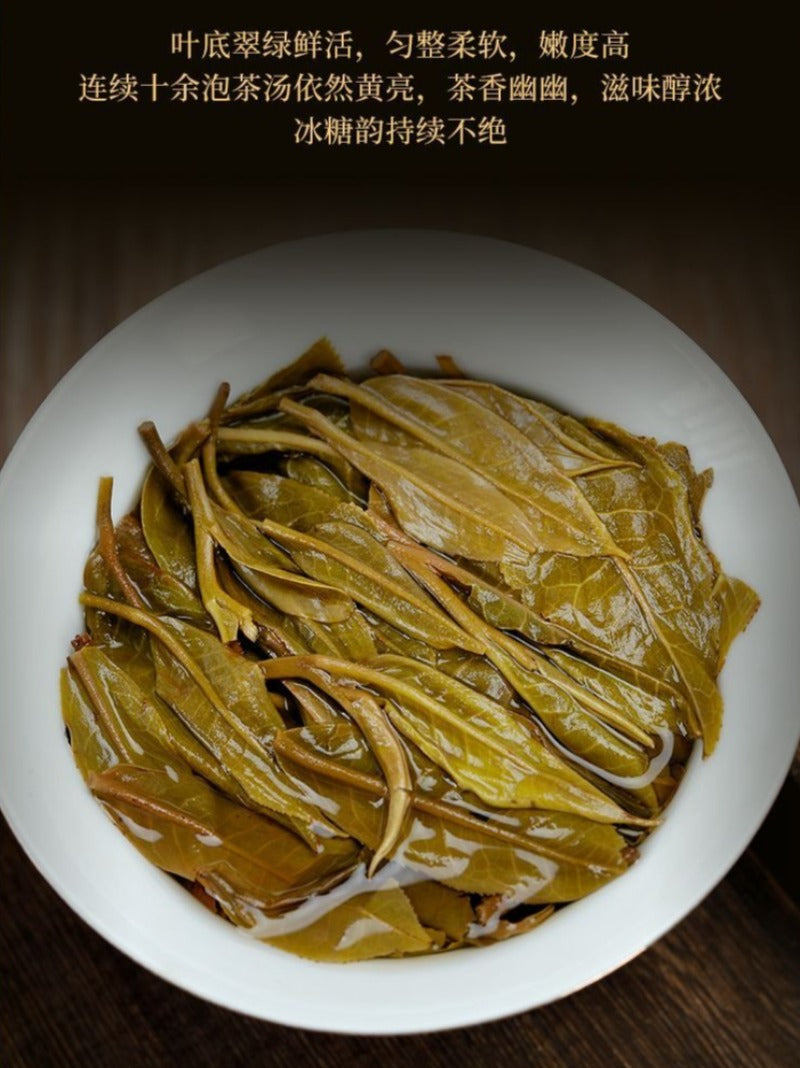 Kek Teh Pu-erh Mentah (Sheng) Pokok Purba Yunnan 2021 [Bing Dao - Raja Teh]
