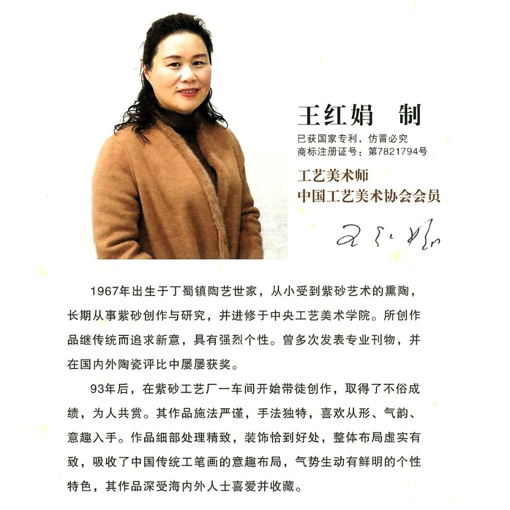 Théière Yixing Zisha entièrement faite à la main [Pot Yu Ru] (Xiao Meiyao Zhu Ni - 210 ml)