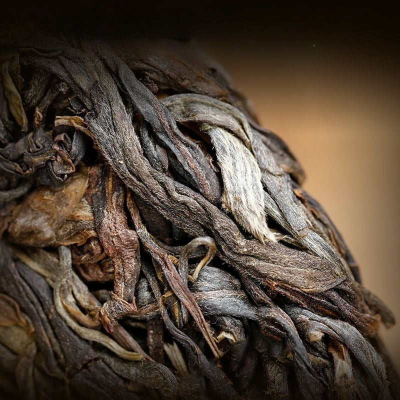 Kek Teh Pu-erh Mentah (Sheng) Pokok Purba Yunnan 2021 [Bing Dao - Raja Teh]