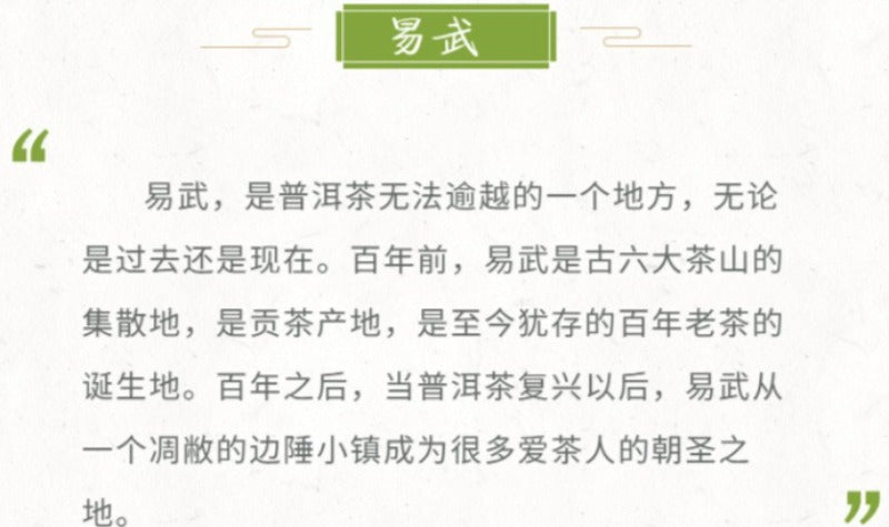 2012 Spring Yunnan Sheng Puer Tea Cake [Yi Wu]