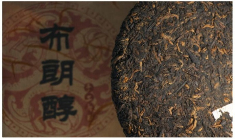 2012 Spring Yunnan Shu Puer Tea Cake [Buland Chun]
