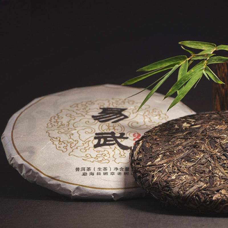 2012 Spring Yunnan Sheng Puer Tea Cake [Yi Wu]