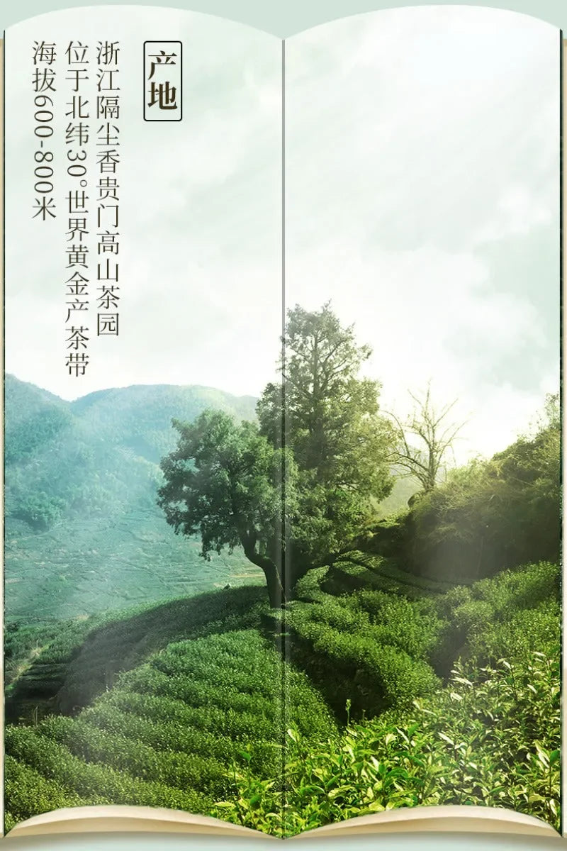 2025-early-spring-zhejiang-shaoxing-long-jing-class-s-green-tea-250g-yiqin-tea-house-yiqinteahouse-com-11 - YIQIN TEA HOUSE 一沁茶舍 yiqinteahouse.com