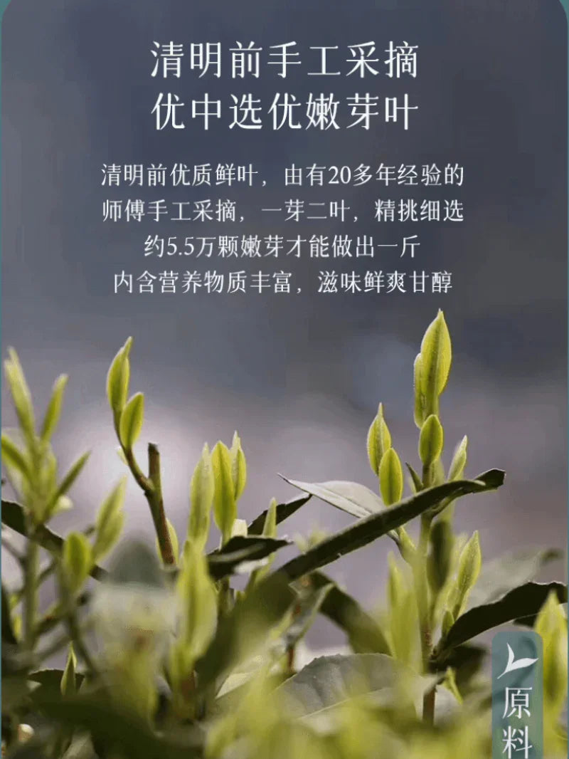 2024 Early Spring Zhejiang Shaoxing [Long Jing] Class S Green Tea Canned Gift Set 250g - YIQIN TEA HOUSE | yiqinteahouse.com | gift, green tea, long jing, tea