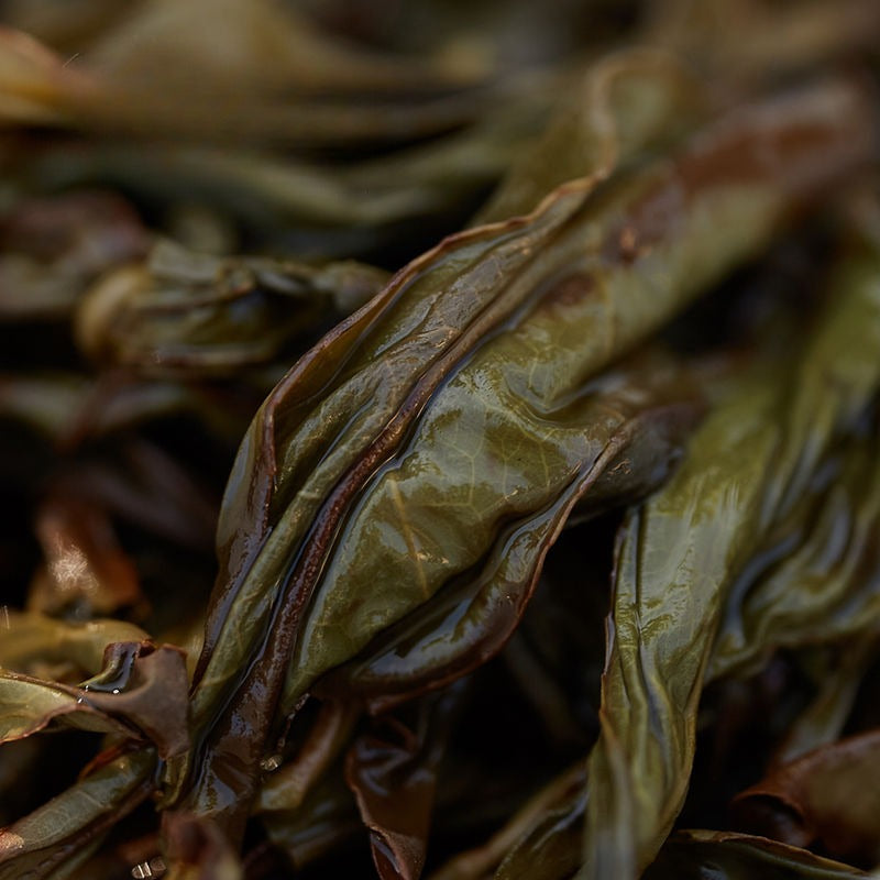 Lao Duan Shan Premium Phoenix Dancong [Ancient Tree Yashixiang] Oolong Tea