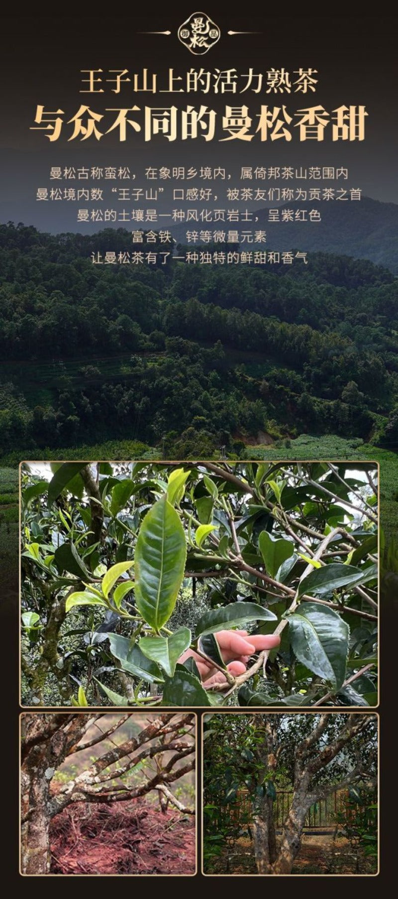 2016 Yunnan Ancient Tree Ripe (Shu) Pu-erh Tea Cake [Royal Mansong]