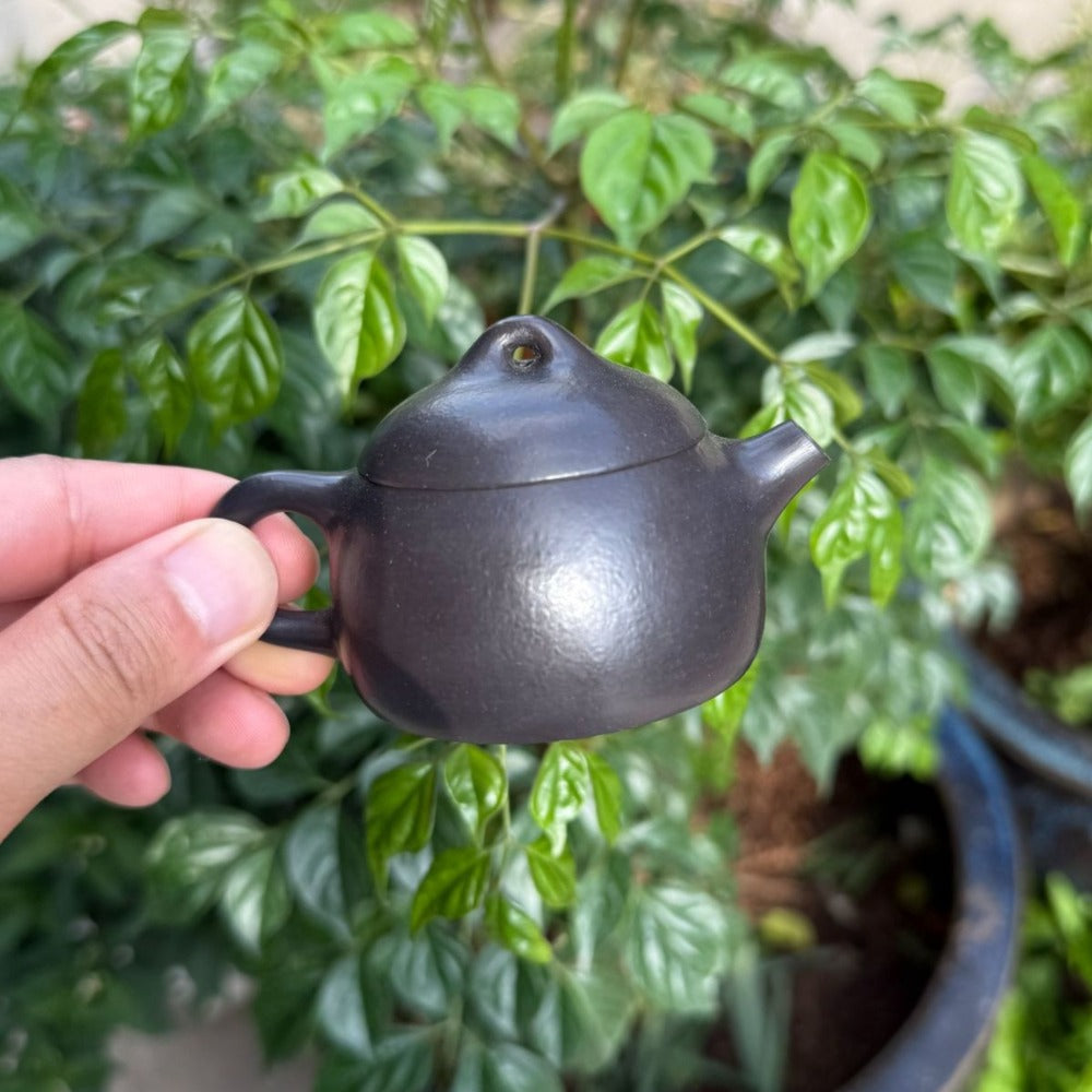 Yixing Zisha Teapot [Mini Qin Quan] (Wrinkled Skin Zhu Ni - 50ml)