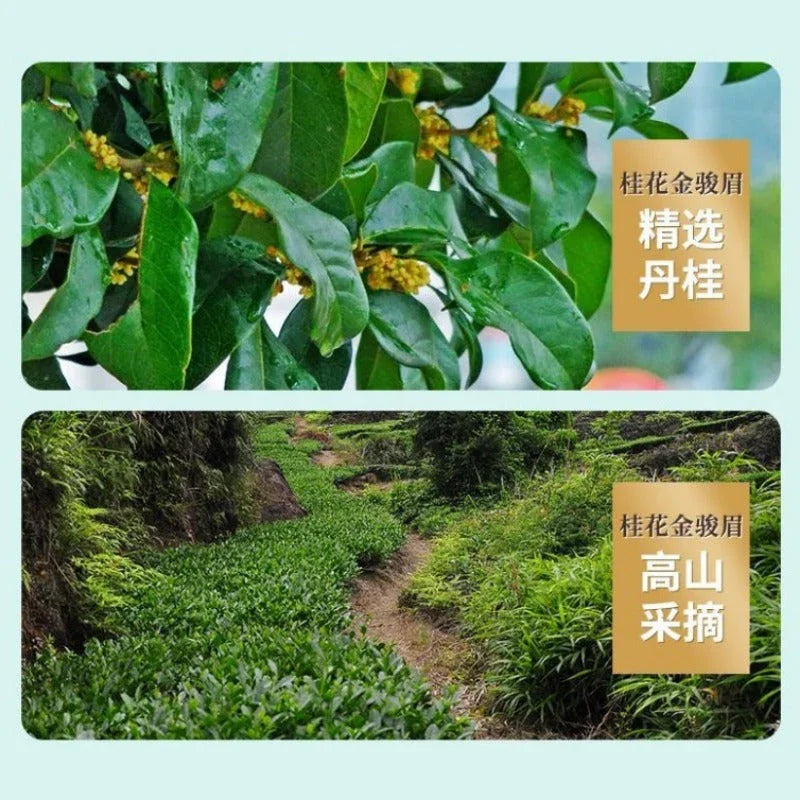 Fujian Premium [Osmanthus Jin Jun Mei] Srong Flora Aroma Black Tea 260/520g - YIQIN TEA HOUSE | yiqinteahouse.com | black tea, jin jun mei, tea