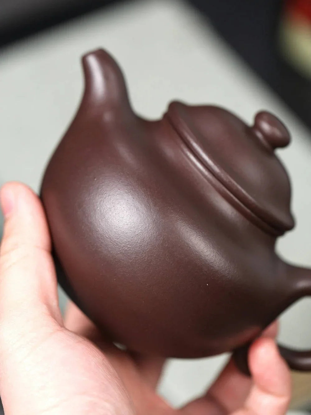 Teko Zisha Yixing Buatan Tangan Sepenuhnya [Lotus Seed Pot] (Zi Ni - 350ml)