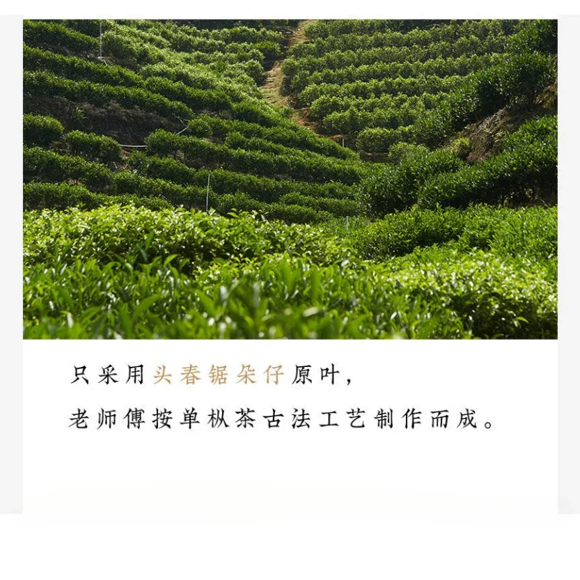 Lao Duan Shan High Mountain Spring Phoenix Dancong [Ju Duo Zi] Almond Aroma Oolong Tea - YIQIN TEA HOUSE | yiqinteahouse.com | oolong tea, phoenix dancong, tea
