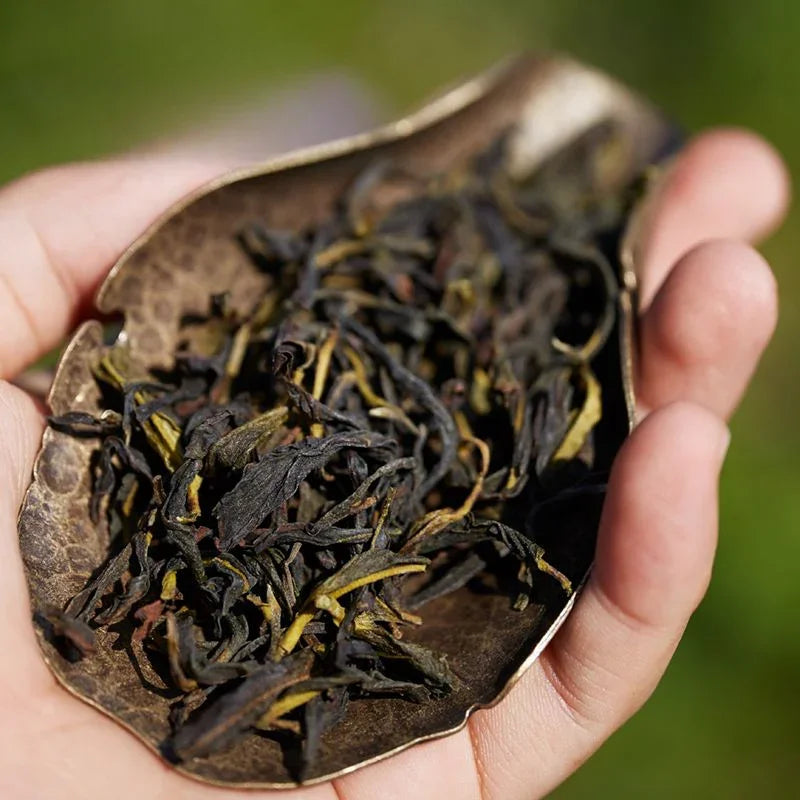 Lao Duan Shan High Mountain Spring Phoenix Dancong [Ju Duo Zi] Almond Aroma Oolong Tea - YIQIN TEA HOUSE | yiqinteahouse.com | oolong tea, phoenix dancong, tea