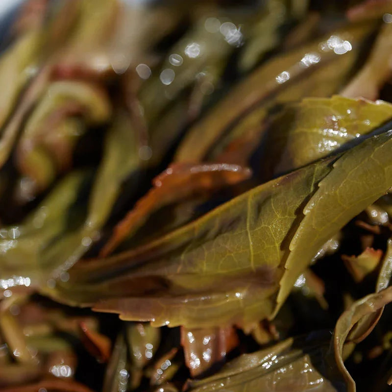 Lao Duan Shan High Mountain Spring Phoenix Dancong [Ju Duo Zi] Almond Aroma Oolong Tea - YIQIN TEA HOUSE | yiqinteahouse.com | oolong tea, phoenix dancong, tea