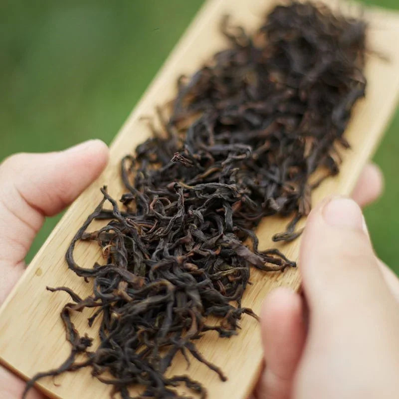 Lao Duan Shan Premium Phoenix Dancong [Ancient Tree Ju Duo Zi] Almond Aroma Oolong Tea - YIQIN TEA HOUSE | yiqinteahouse.com | oolong tea, phoenix dancong, tea