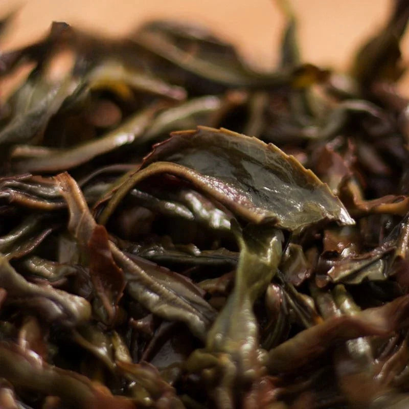 Lao Duan Shan Premium Phoenix Dancong [Ancient Tree Ju Duo Zi] Almond Aroma Oolong Tea - YIQIN TEA HOUSE | yiqinteahouse.com | oolong tea, phoenix dancong, tea